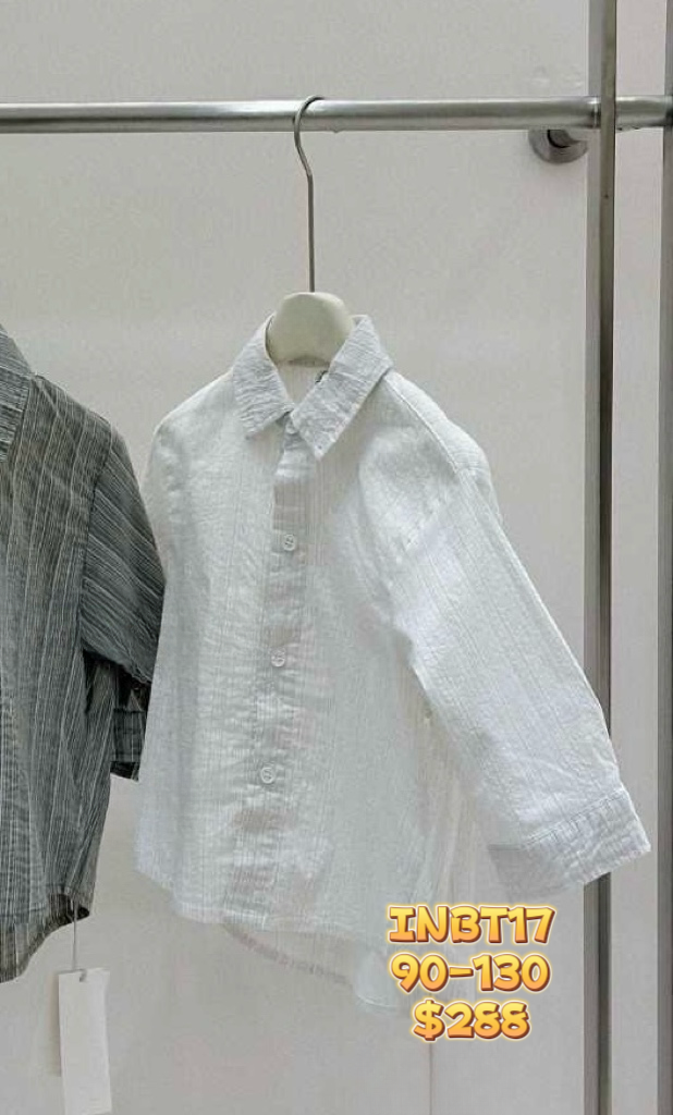 INBT17 直條銀線恤衫